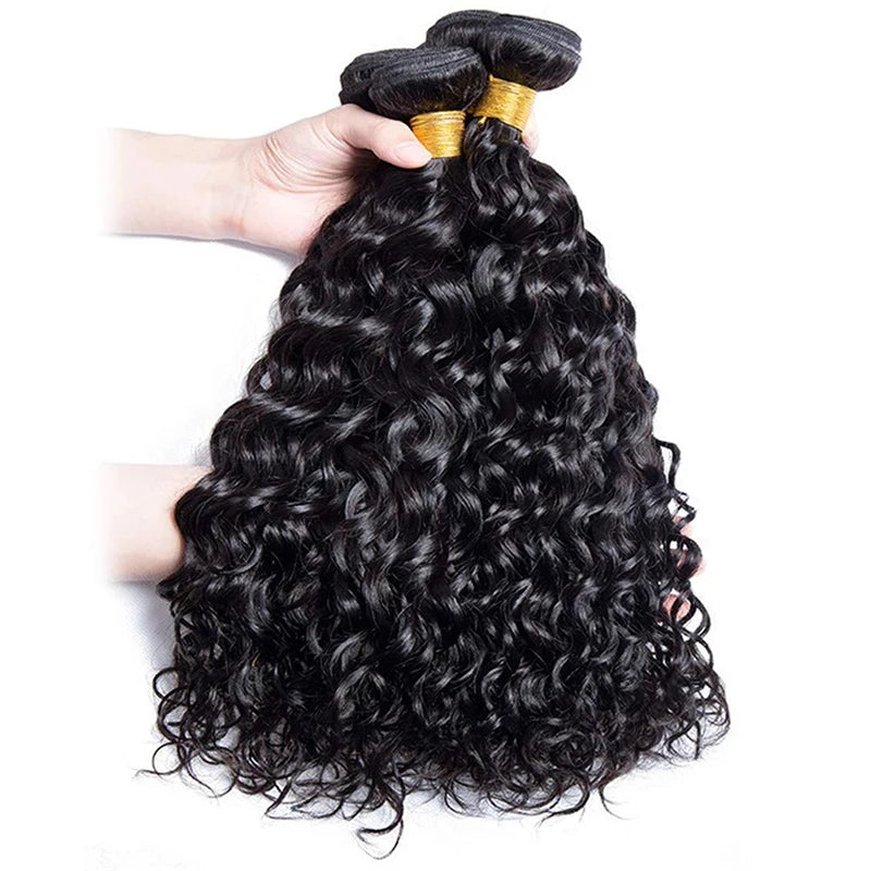 Water Wave Curly Hair Bundles 100% Human Hair